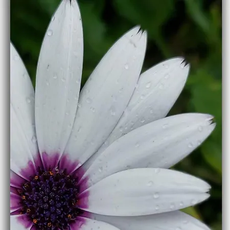 Casa Tio Pedro Martin Erese