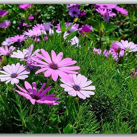 Casa Tio Pedro Martin Erese