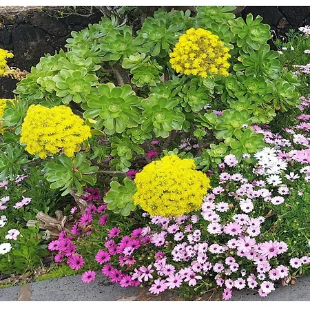 Casa Tio Pedro Martin *