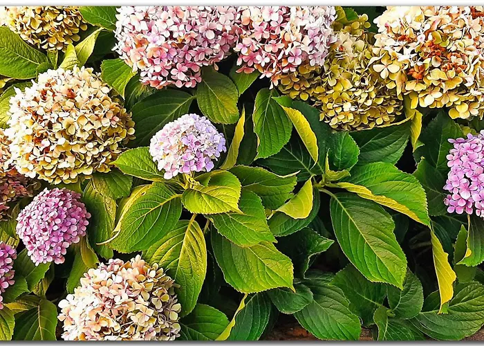 Casa Tio Pedro Martin *